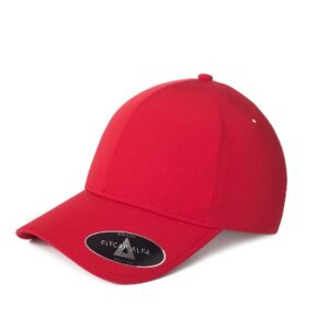 GORRA FITCAP 010 ALFA