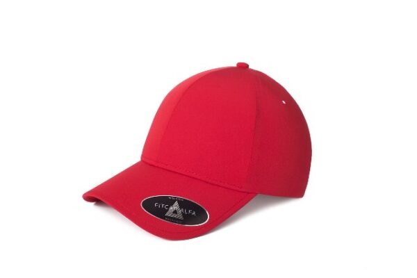 GORRA FITCAP 010 ALFA