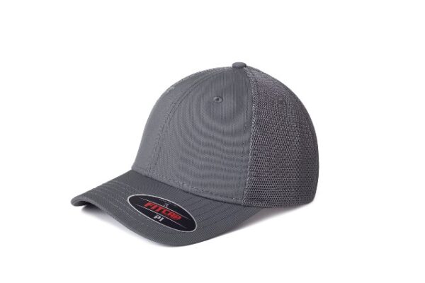 GORRA FITCAP 020 PI